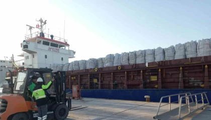 İhracattan dönen patatesler imha edilecek