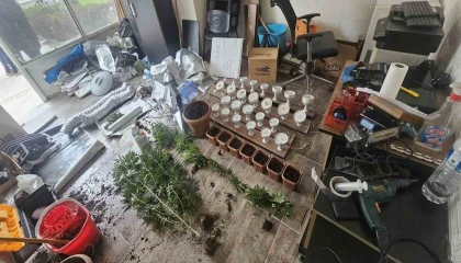 İş yerinde esrar yetiştiren kişi tutuklandı