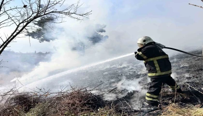 İskenderunda bahçe yangını