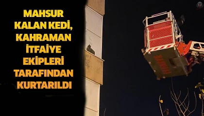 İskenderunda balkonda mahsur kalan kediyi itfaiye kurtardı
