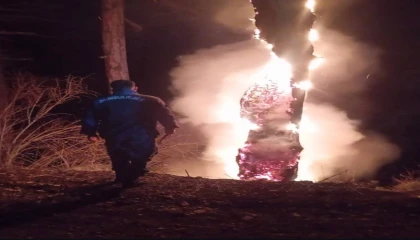 Ispartada yıldırımın düştüğü ağaç küle döndü