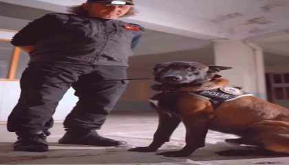 Ispartanın narkotik kahramanı Milon, üçüncü kez ayın köpeği seçildi