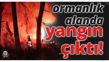 Kırıkhan’da ormanlık alanda yangın çıktı