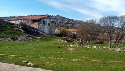 Köpeklerin saldırısında hayatını kaybetmişti, sanığa verilen ceza belli odu