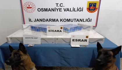 Osmaniyede jandarma son bir haftada 107 kişi yakalandı