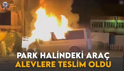 Park halindeki minibüs alevlere teslim oldu