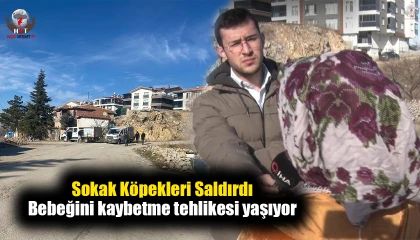 Sokak köpeklerinin saldırdığı Hataylı kadın bebeğini kaybetme tehlikesi yaşıyor