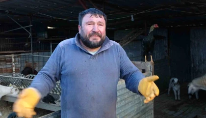 Tavuğunu tilki kapan Zavadanak Bekirden tilkiye gülümseten sitem