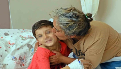 Tüm Türkiyeyi hüzünlendiren Efe: “Para almadılar”