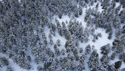 Adanada kar yolları kapattı, kartpostallık görüntü oluşturdu
