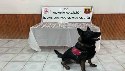Adanada uyuşturucu operasyonunda 1680 hap ele geçirildi