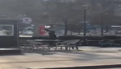 Afşinde kavgaya sebep olan kadın bayrağı kesmeye çalışmış