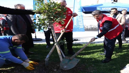 Akdeniz Belediyesi, depremde hayatını kaybedenler anısına fidan dikti