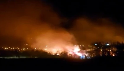 Alevlerin geceyi aydınlattığı sazlıktaki yangın yerleşim alanına ulaşmadan söndürüldü