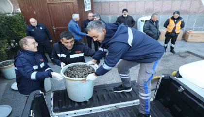 Antalya Otobüs Terminalinde 300 kilogram midyeye el konuldu