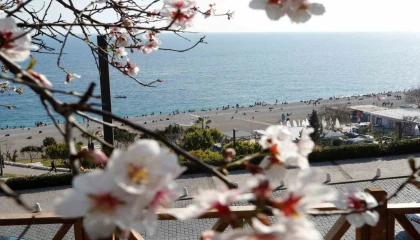 Antalya şubatta baharı yaşadı