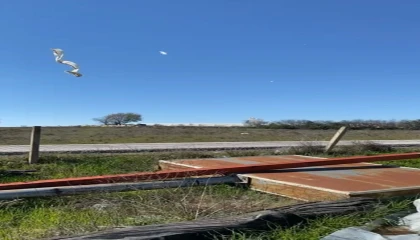 Antalyada aniden ortaya çıkan hortum seraları vurdu