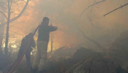 Antalyada kopan yüksek gerilim hattı orman yangınına neden oldu
