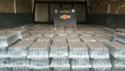 Antalyada son bir haftada düzenlenen operasyonlarda 15 kişi tutuklandı