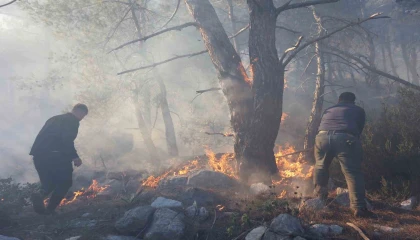 Büyükşehir itfaiyesinden orman yangınına müdahale desteği