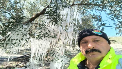 Çiftçi ağaçlardaki buz sarkıtlarını görünce şaştı kaldı