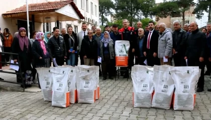 Çiftçilere yüzde 75 hibeli ayçiçeği tohumu desteği