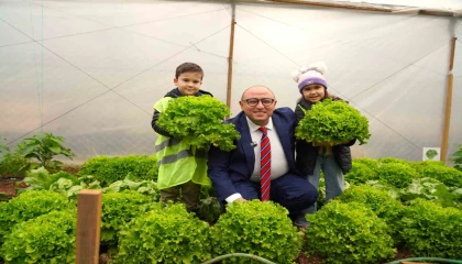 Çocuklar, serada yetiştirdikleri ürünleri hasat etti