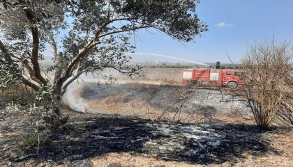 Erzinde sazlık alan yangını