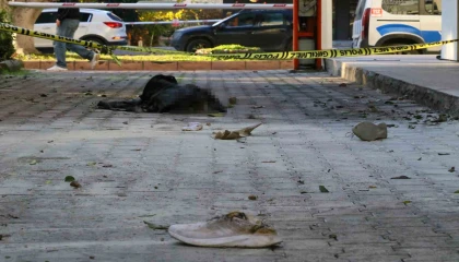 Eski eşini yakarak öldüren kocaya ağırlaştırılmış müebbet talebi