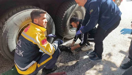Ev yangınında 2 kişi çatıdan kurtarıldı, yanan kedilere oksijen maskesiyle müdahale edildi