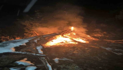 Fekede çıkan orman yangını söndürüldü