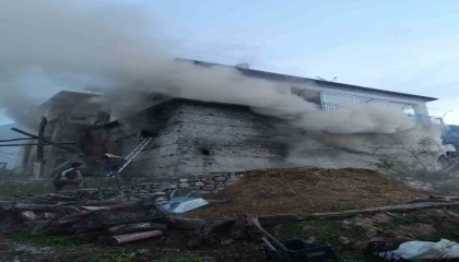 Gazipaşada iki katlı müstakil evde çıkan yangında ahırda bulunan inek ve buzağı telef oldu