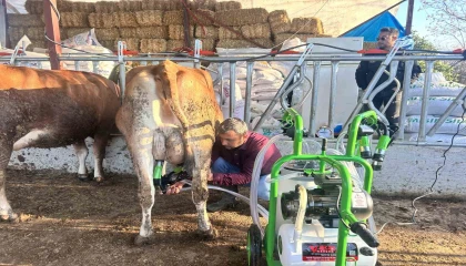 Hatay Büyükşehir Belediyesinden hayvan üreticisine süt sağma makinesi desteği