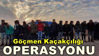 Hatayda 31 kaçak göçmen yakalandı, 2 organizatör tutuklandı
