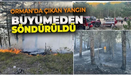 Hatayda ormanlık alanda örtü yangını çıktı