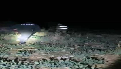 Hayvanlarını otlatmak için çıktı, ölü olarak bulundu