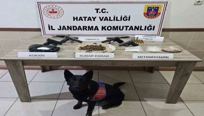 Jandarma ekipleri Şubat ayında 61 şahıs hakkında yasal işlem yaptı