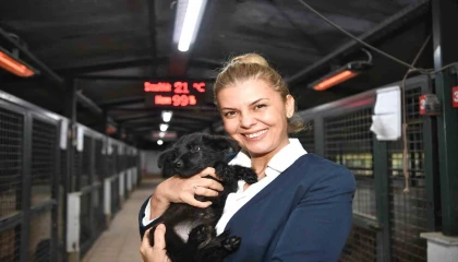 Konyaaltında minik patilere sıcak yuva