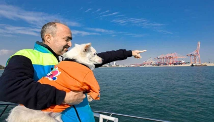 Köpük, belediye personeliyle birlikte deniz kirliliğine karşı mücadele ediyor