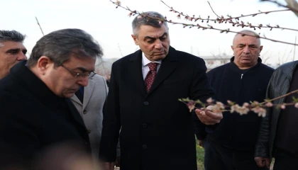 Mersin Valisi Toros, zirai dondan etkilenen arazilerde inlemede bulundu