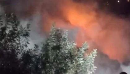 Mersinde yangın, alevler bahçelere sıçramadan söndürüldü