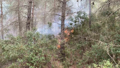 Osmaniyede çıkan orman yangını kontrol altına alındı