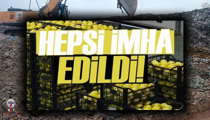 Pestisit kimyasal maddesi tespit edilen 55 ton limon imha edildi