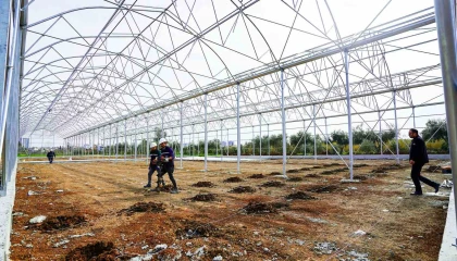 Tarsus Belediyesinden kadın girişimcilere tarım desteği