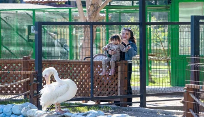 Tarsus Doğa Parkı, yarı yıl tatilinde çocukları ağırlıyor