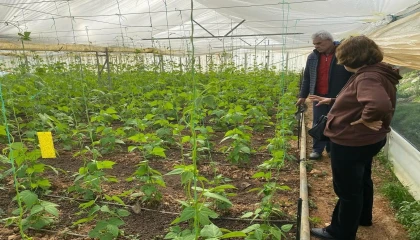 Üreticilere bitki sağlığı eğitimi verildi