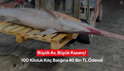 Yakaladığı 100 kiloluk kılıç balığını 40 bin TLye sattı