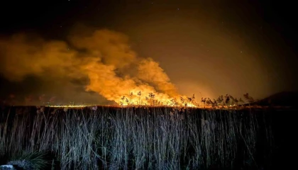 Yamadı Gölü alevlere teslim oldu, yangın 5 saatte kontrol altına alındı