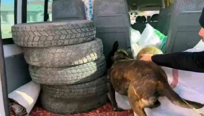 10 kilo uyuşturucu yakalattı, Şeker sanıyordum savunması yaptı