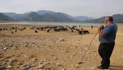 Adanada kuraklık barajı yok olma seviyesine getirdi